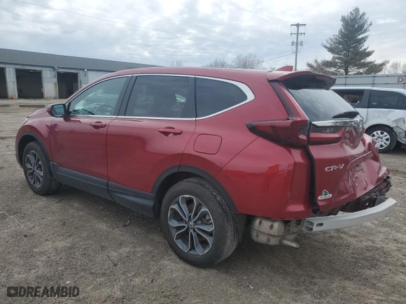 2022 Honda CR-V EX-L with VIN 7FARW2H89NE046046, listed as a Copart auction lot 51319615 with 31,198 mi miles and Clean Title. Bid and sale history available at carsss.com. Image 2.