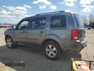 2011 Honda Pilot EX-L with VIN 5FNYF4H53BB036343, listed as a Copart auction lot 52136145 with 217,132 mi miles and Salvage Title. Bid and sale history available at carsss.com. Image 2.