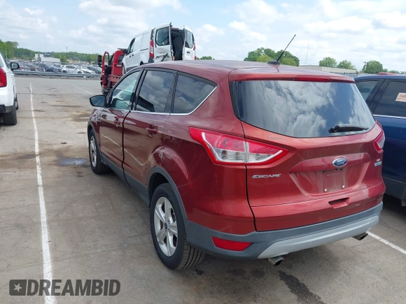 2014 Ford Escape SE with VIN 1FMCU0GX4EUD02407, listed as a IAAI auction lot 42156731 with 114,117 mi miles. Bid and sale history available at carsss.com. Image 3.