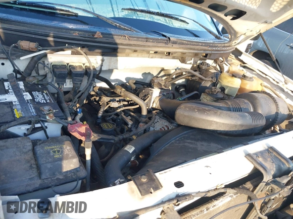2007 Ford F-150 STX with VIN 1FTRX12W87FA94291, listed as a IAAI auction lot 41751615 with 447,600 mi miles and . Bid and sale history available at DreamBid. Image 10.