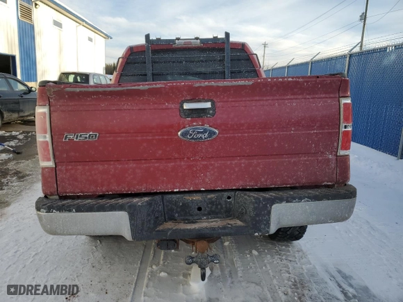 2009 Ford F-150 XL with VIN 1FTRW14859FB07146, listed as a Copart auction lot 45553805 with 315,911 mi miles and Non Repairable. Bid and sale history available at carsss.com. Image 6.