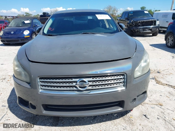 2010 Nissan Maxima 3.5 SV w/Premium Pkg with VIN 1N4AA5AP6AC831809, listed as a IAAI auction lot 41684547 with 123,194 mi miles. Bid and sale history available at carsss.com. Image 6.