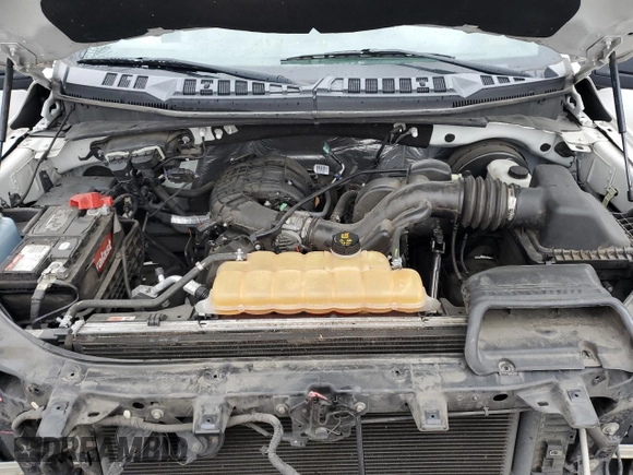 2016 Ford F-150 XL with VIN 1FTMF1C81GKE06200, listed as a Copart auction lot 49088695 with 196,768 mi miles and Salvage Title. Bid and sale history available at carsss.com. Image 12.