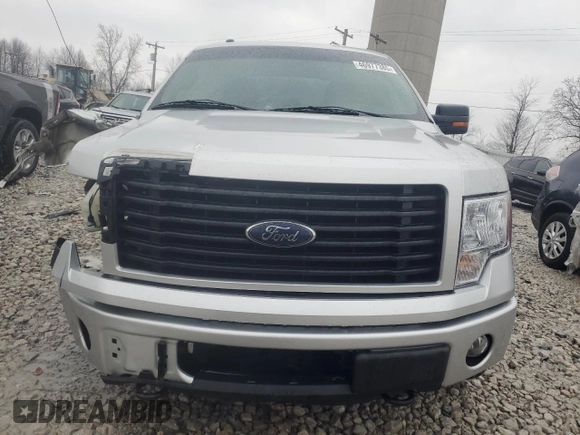 2014 Ford F-150 XL with VIN 1FTEX1EM8EFC11812, listed as a Copart auction lot 46977385 with 188,175 mi miles and Clean Title. Bid and sale history available at carsss.com. Image 5.
