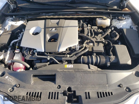 2021 Lexus ES 300h Luxury with VIN 58AEA1C11MU012688, listed as a Copart auction lot 89016795 with 123,574 mi miles and Salvage title. Bid and sale history available at DreamBid. Image 13.