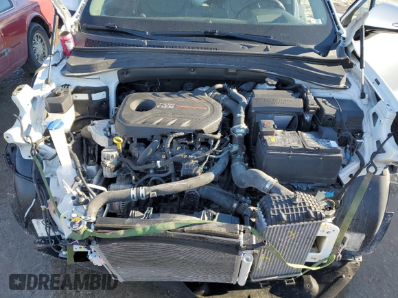 2020 Hyundai Santa Fe Limited with VIN 5NMS5CAA6LH273208, listed as a Copart auction lot 87245304 with 57,534 mi miles and Salvage Title. Bid and sale history available at carsss.com. Image 11.