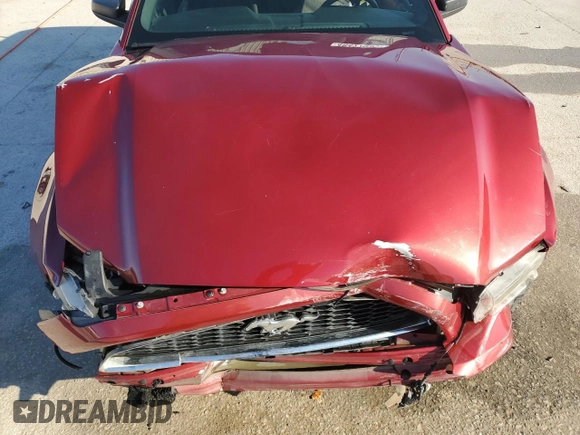 2014 Ford Mustang V6 with VIN 1ZVBP8AM0E5204583, listed as a Copart auction lot 48427935 with 114,307 mi miles and Salvage Title. Bid and sale history available at carsss.com. Image 11.