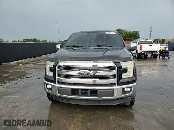 2016 Ford F-150 XL with VIN 1FTEW1CG3GFA68268, listed as a Copart auction lot 60040365 with 133,923 mi miles and Salvage title. Bid and sale history available at DreamBid. Image 14.
