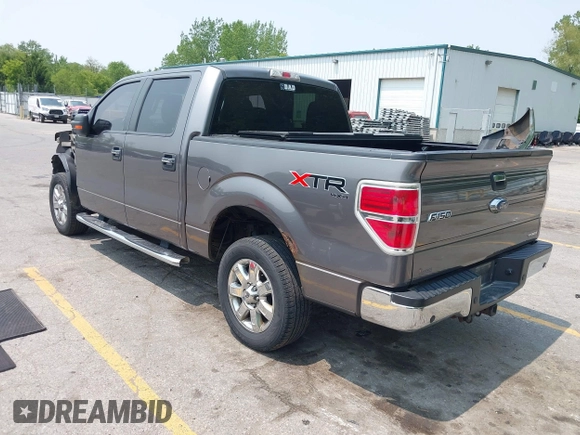 2014 Ford F-150 XL with VIN 1FTFW1EF0EFA88208, listed as a IAAI auction lot 42405046 with 246,198 mi miles and . Bid and sale history available at DreamBid. Image 3.