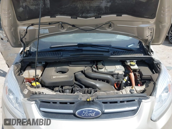 2018 Ford C-Max SE with VIN 1FADP5AU8JL102227, listed as a IAAI auction lot 42062394 with 122,943 mi miles. Bid and sale history available at carsss.com. Image 10.