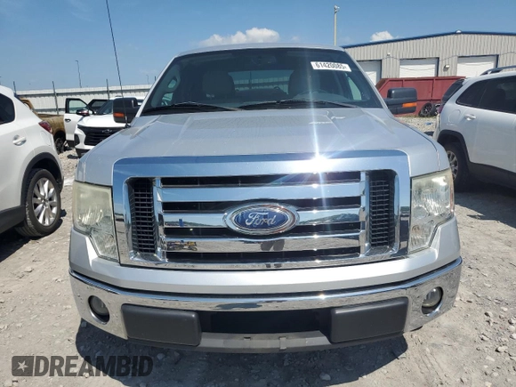 2010 Ford F-150 XL with VIN 1FTEW1C88AFA71473, listed as a Copart auction lot 61420085 with 143,965 mi miles and Salvage title. Bid and sale history available at DreamBid. Image 5.