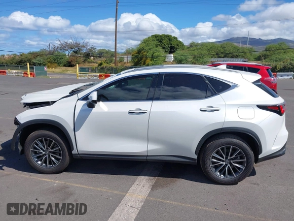 2025 Lexus NX 250 Premium with VIN JTJGDCAZ2S2020658, listed as a IAAI auction lot 42036187 with 2,404 mi miles and . Bid and sale history available at DreamBid. Image 15.