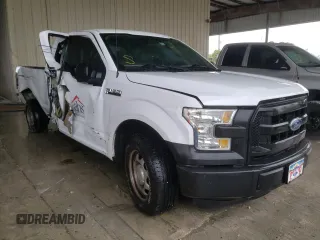 2015 Ford F-150 XL with VIN 1FTEX1C85FKF13167, listed as a Copart auction lot 34733242 with 132,096 mi miles and Salvage Title. Bid and sale history available at carsss.com. Image 1.