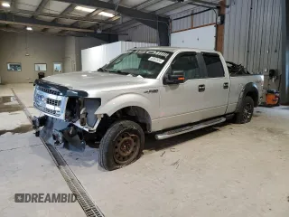2013 Ford F-150 XL with VIN 1FTFW1EF1DKD14391, listed as a Copart auction lot 60392655 with 176,593 mi miles and Salvage title. Bid and sale history available at DreamBid. Image 1.