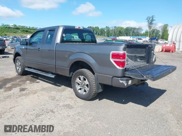2013 Ford F-150 XL with VIN 1FTEX1EM9DFC99848, listed as a IAAI auction lot 42297022 with 175,466 mi miles and . Bid and sale history available at DreamBid. Image 3.