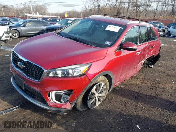 2017 Kia Sorento EX with VIN 5XYPHDA51HG313606, listed as a IAAI auction lot 41203028 with 46 mi miles and . Bid and sale history available at DreamBid. Image 21.