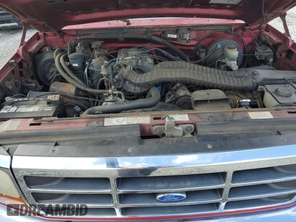 1995 Ford F-150 with VIN 1FTEF15N5SNA84787, listed as a Copart auction lot 87832635 with 123,193 mi miles and Salvage Title. Bid and sale history available at carsss.com. Image 11.