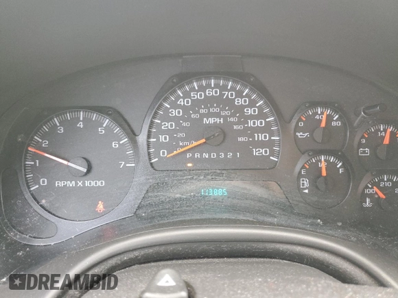 2009 Chevrolet TrailBlazer 1LT with VIN 1GNDS33S092130458, listed as a Copart auction lot 46877675 with 113,885 mi miles and Salvage Title. Bid and sale history available at DreamBid. Image 9.