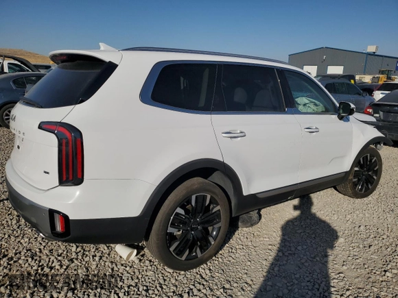 2023 Kia Telluride SX Prestige с VIN 5XYP5DGC6PG359719, выставлен на аукционе Copart как лот 75731334 с пробегом 26 072 миль миль и Списание • Salvage title. История ставок и продаж доступна на DreamBid. Изображение 3.