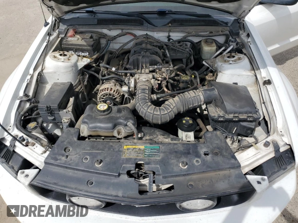 2006 Ford Mustang Standard with VIN 1ZVFT80N065256711, listed as a Copart auction lot 52821255 with 206,912 mi miles and Salvage Title. Bid and sale history available at carsss.com. Image 11.