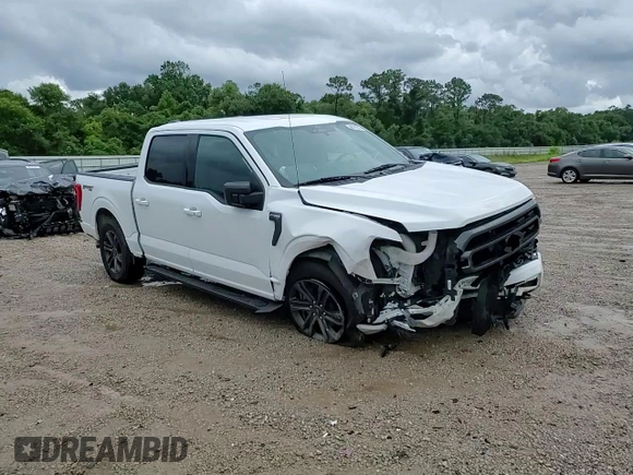 2021 Ford F-150 XL with VIN 1FTFW1E59MFA70313, listed as a Copart auction lot 60793215 with 52,387 mi miles and Salvage title. Bid and sale history available at DreamBid. Image 14.