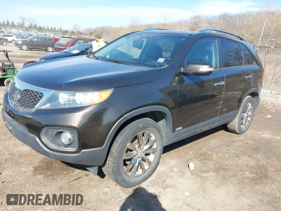 2011 Kia Sorento EX with VIN 5XYKUDA28BG164663, listed as a IAAI auction lot 41984131 with 1 mi miles. Bid and sale history available at carsss.com. Image 2.