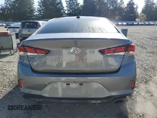 2019 Hyundai Sonata SEL with VIN 5NPE34AF5KH808518, listed as a Copart auction lot 53586045 with 91,307 mi miles and Salvage Title. Bid and sale history available at DreamBid. Image 6.