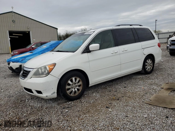 2010 Honda Odyssey EX-L with VIN 5FNRL3H62AB032427, listed as a Copart auction lot 53936295 with 203,425 mi miles and Clean Title. Bid and sale history available at carsss.com. Image 1.