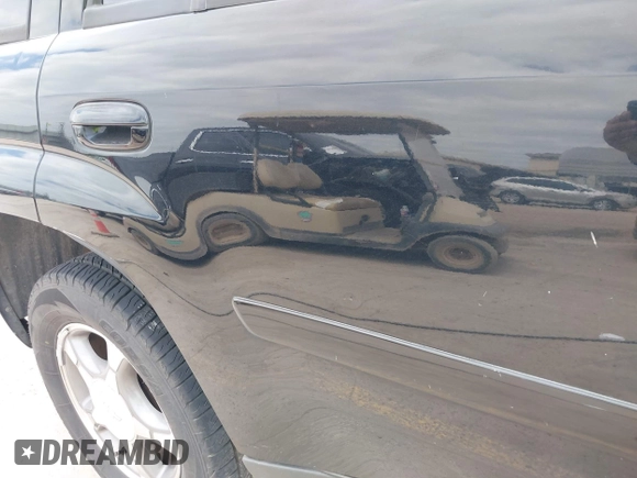 2009 Chevrolet TrailBlazer 1LT with VIN 1GNDS33S692131369, listed as a IAAI auction lot 42036301 with 249,593 mi miles and . Bid and sale history available at DreamBid. Image 19.