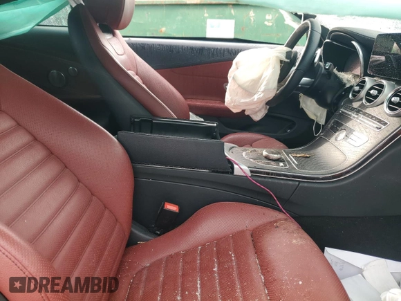 2022 Mercedes-Benz C 300 with VIN W1KWJ8DB3NG113978, listed as a Copart auction lot 48002755 with Not Provided miles and Salvage Title. Bid and sale history available at DreamBid. Image 10.