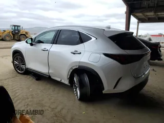 2025 Lexus NX 350 Premium with VIN JTJGGCEZ4S5010472, listed as a Copart auction lot 54560975 with 9,587 mi miles and Salvage title. Bid and sale history available at DreamBid. Image 2.