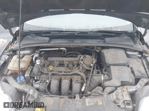 2014 Ford Focus SE with VIN 1FADP3K21EL462169, listed as a IAAI auction lot 42145524 with 100,156 mi miles. Bid and sale history available at carsss.com. Image 10.