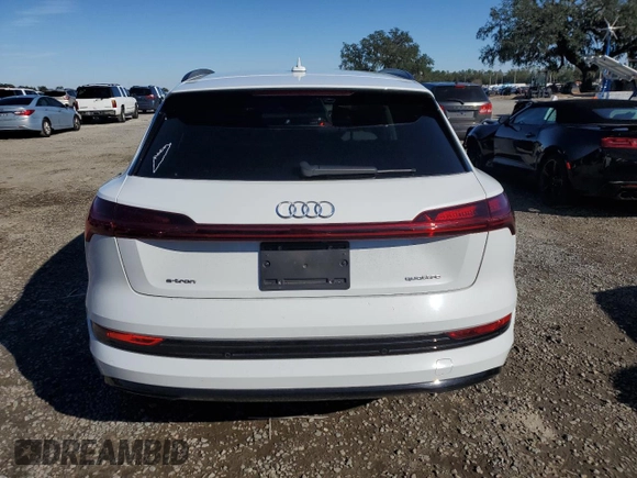 2022 Audi e-tron Premium with VIN WA1AAAGE1NB019221, listed as a Copart auction lot 41872005 with 47,890 mi miles and Salvage Title. Bid and sale history available at DreamBid. Image 6.