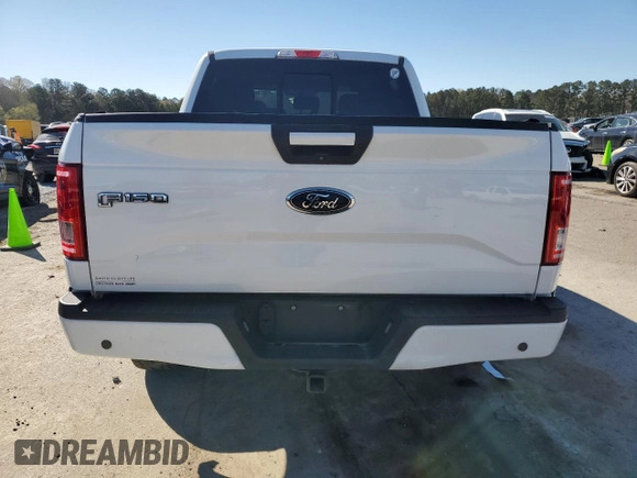 2017 Ford F-150 XL with VIN 1FTEW1EF3HFB62821, listed as a Copart auction lot 49506135 with 126,176 mi miles and Salvage Title. Bid and sale history available at carsss.com. Image 6.