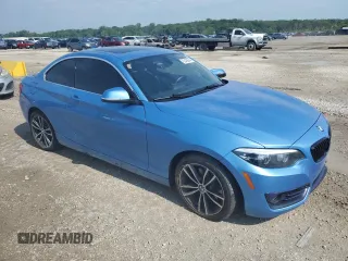 2018 BMW 2 Series 230i xDrive with VIN WBA2J3C56JVA49979, listed as a Copart auction lot 62429544 with 46,541 mi miles and Salvage title. Bid and sale history available at DreamBid. Image 4.