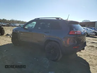2018 Jeep Cherokee Trailhawk with VIN 1C4PJMBB9JD548008, listed as a Copart auction lot 43076075 with 61,906 mi miles and Salvage title. Bid and sale history available at DreamBid. Image 2.