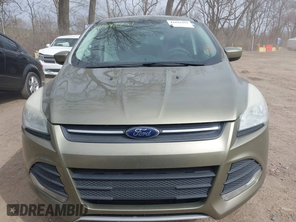 2013 Ford Escape SE with VIN 1FMCU0G90DUA41793, listed as a IAAI auction lot 41842981 with 179,312 mi miles. Bid and sale history available at carsss.com. Image 12.