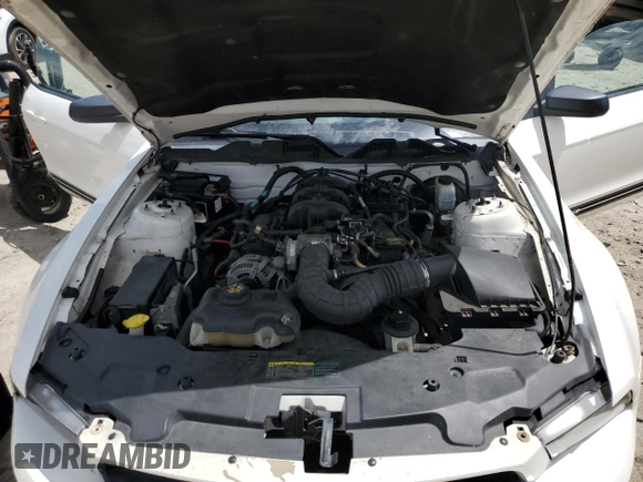 2010 Ford Mustang V6 with VIN 1ZVBP8AN1A5158085, listed as a Copart auction lot 61070745 with Not provided miles and Salvage title. Bid and sale history available at DreamBid. Image 11.