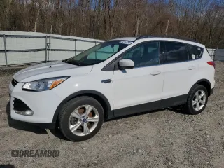 2014 Ford Escape SE with VIN 1FMCU9GX2EUA56896, listed as a Copart auction lot 54214785 with 0 mi miles and Clean Title. Bid and sale history available at carsss.com. Image 1.