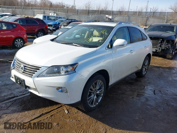 2014 Lexus RX 350 with VIN JTJBK1BA5E2036886, listed as a IAAI auction lot 41645848 with 36,558 mi miles and . Bid and sale history available at DreamBid. Image 17.