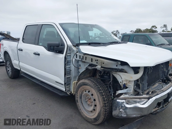 2021 Ford F-150 XL z VIN 1FTFW1E16MFC73480, wystawiony jako IAAI lot #42431172 z przebiegiem 67 041 mil mil oraz . Historia ofert i sprzedaży dostępna na DreamBid. Obrazek 1.
