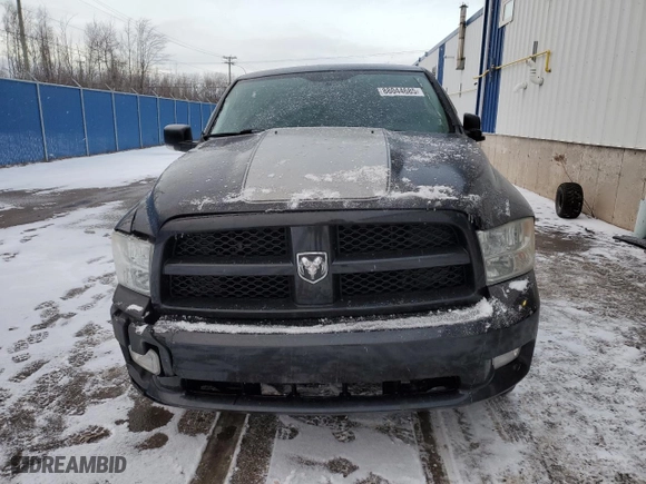 2010 Dodge Ram 1500 Sport with VIN 3D7JV1ET7AG191773, listed as a Copart auction lot 88044685 with 196,202 mi miles and Salvage Title. Bid and sale history available at carsss.com. Image 5.