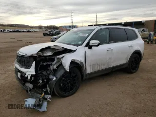 2021 Kia Telluride SX with VIN 5XYP5DHC5MG115425, listed as a Copart auction lot 47891265 with 80,592 mi miles and Salvage Title. Bid and sale history available at DreamBid. Image 1.