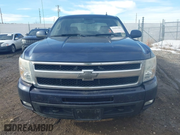 2009 Chevrolet Silverado 1500 with VIN 2GCEK333991132912, listed as a IAAI auction lot 41691383 with 146,751 mi miles and . Bid and sale history available at DreamBid. Image 13.