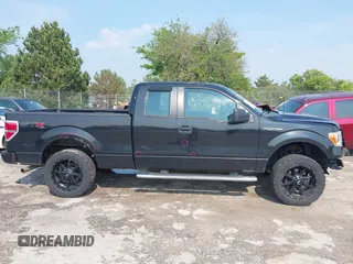 2013 Ford F-150 XL z VIN 1FTFX1EF3DFB81137, wystawiony jako IAAI lot #42426728 z przebiegiem 208 700 mil mil oraz . Historia ofert i sprzedaży dostępna na DreamBid. Obrazek 13.