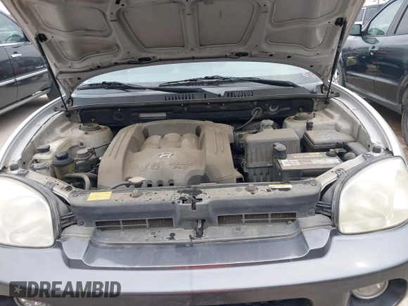 2006 Hyundai Santa Fe GLS with VIN KM8SC13D36U049405, listed as a IAAI auction lot 42074217 with 106,253 mi miles. Bid and sale history available at carsss.com. Image 10.