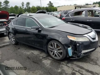 2009 Acura TL z VIN 19UUA86249A022100, wystawiony jako Copart lot #64760924 z przebiegiem 193 450 mil mil oraz Szkoda całkowita • Salvage title. Historia ofert i sprzedaży dostępna na DreamBid. Obrazek 4.