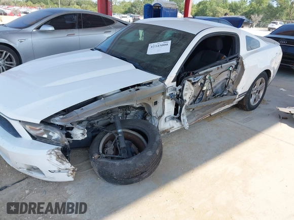 2012 Ford Mustang Premium with VIN 1ZVBP8AM1C5246631, listed as a IAAI auction lot 42345000 with 146,101 mi miles and . Bid and sale history available at DreamBid. Image 6.
