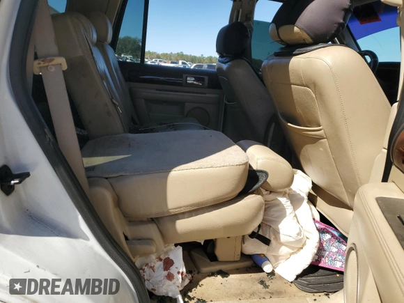 2006 Lincoln Navigator Luxury with VIN 5LMFU27596LJ21685, listed as a Copart auction lot 48166185 with 0 mi miles and Salvage Title. Bid and sale history available at carsss.com. Image 11.