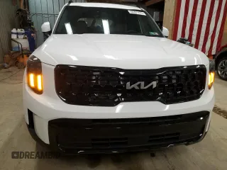 2024 Kia Telluride EX with VIN 5XYP3DGCXRG521053, listed as a Copart auction lot 50351475 with 18,227 mi miles and Salvage title. Bid and sale history available at DreamBid. Image 5.